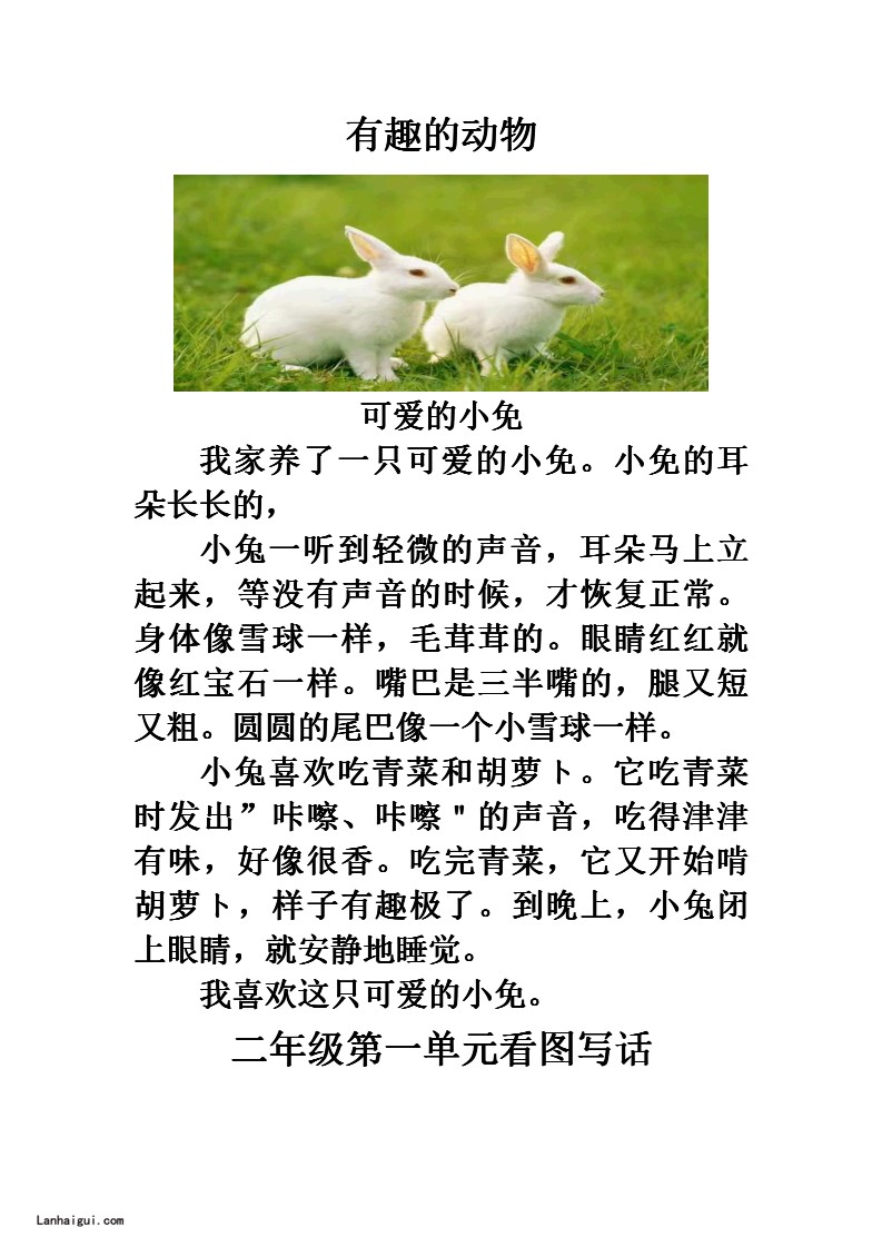 二年级上册看图写话(lanhaigui.com)_02